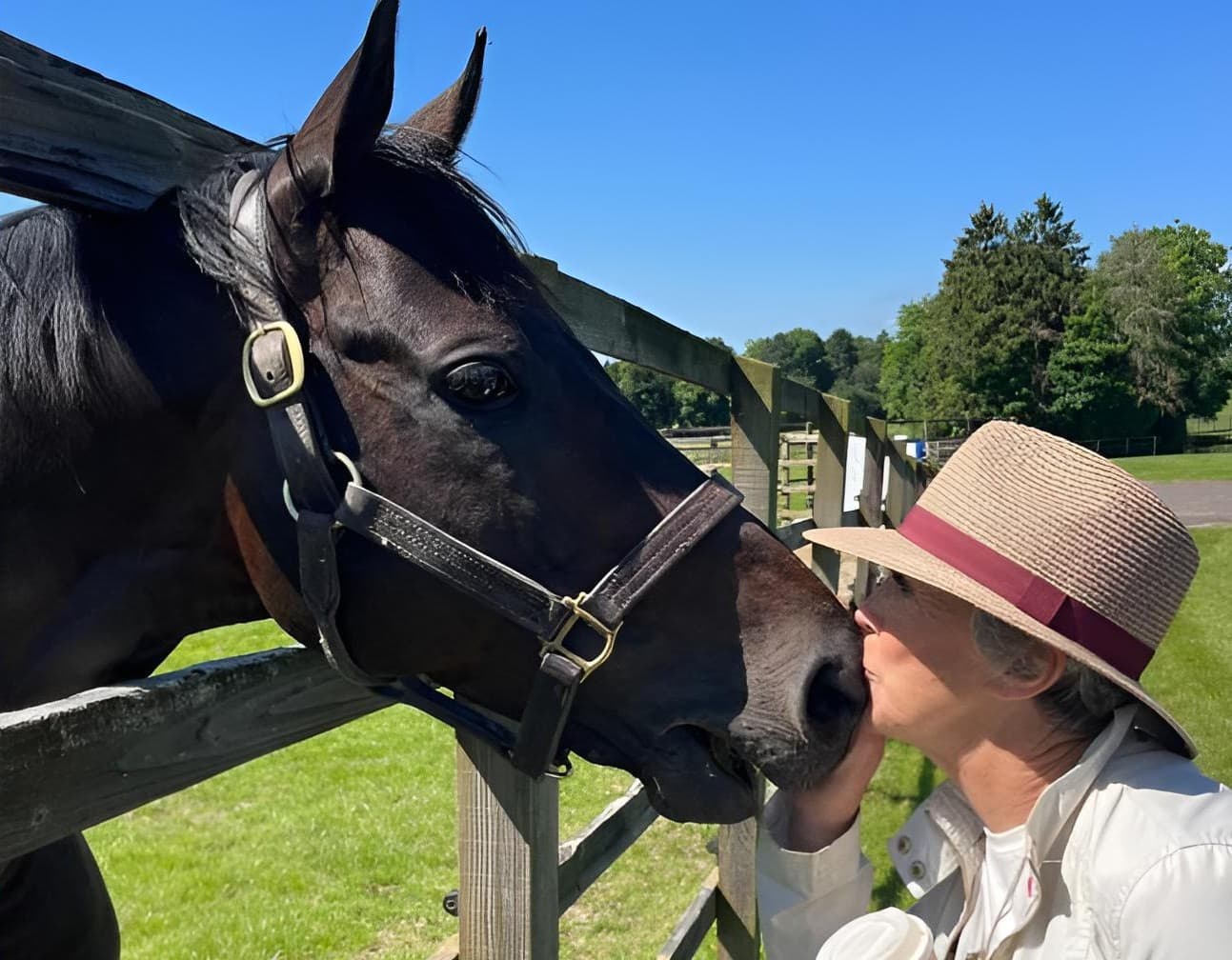 🔒 🔒 Making way for a new era – Watkins trades 24/7 responsibility for a quieter life at Willaroon ● ● September 8, 2026 Read our newsletters today Free access to our daily and feature newsletters, covering exclusive and premium content in racing, wagering and breeding, direct to your inbox