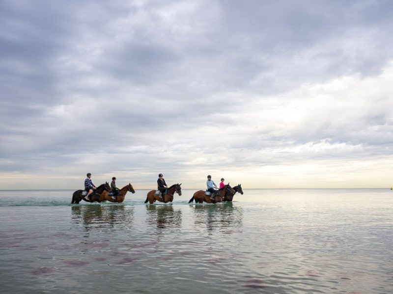 Horse riders wade through shallow water under a cloudy sky