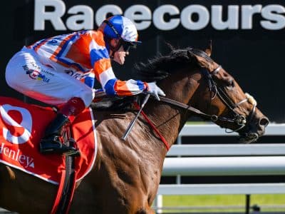 Jockey in blue, white and orange silks rides a brown racehorse past a racecourse rail.