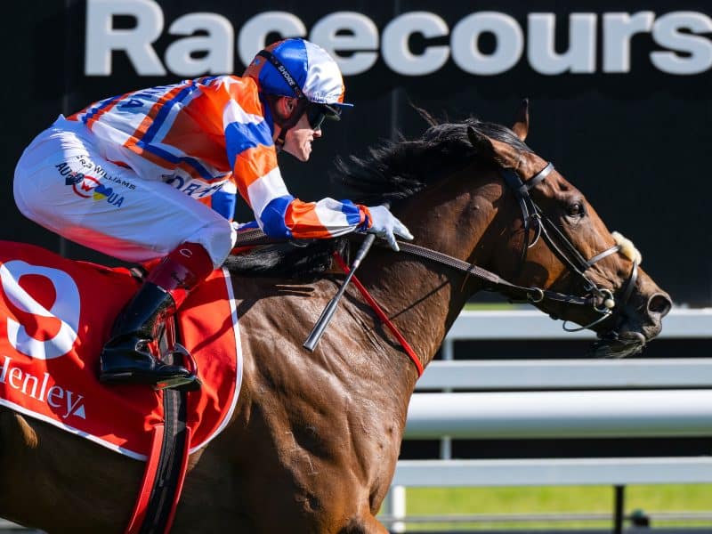 Jockey in blue, white and orange silks rides a brown racehorse past a racecourse rail.