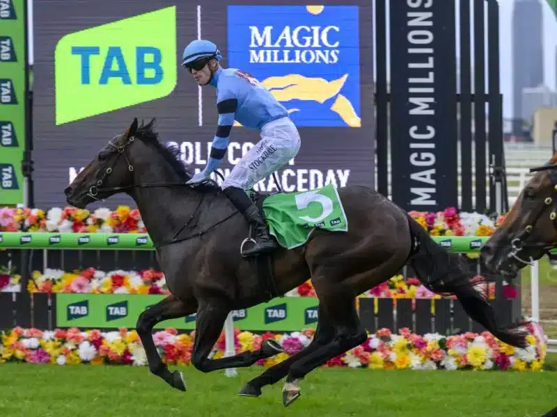 Magic Millions 2YO Classic