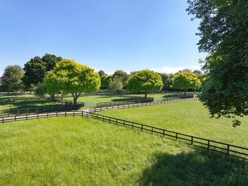 Green fenced paddocks and trees at a manicured thoroughbred breeding property