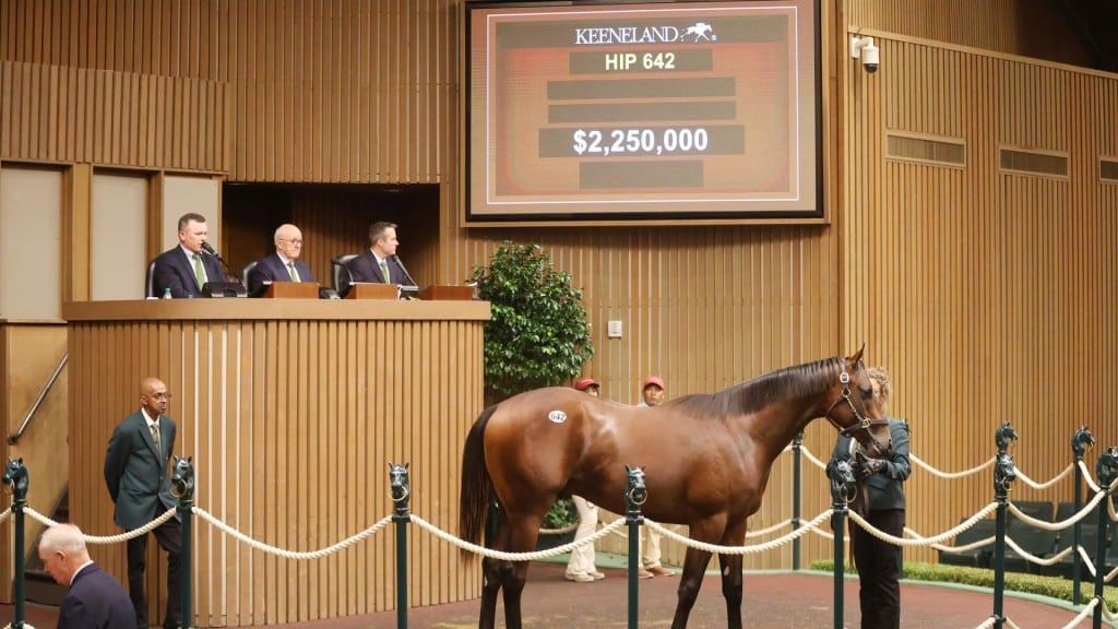 A Nyquist colt topped the session at US$2.25 million (AU$3.15 million),