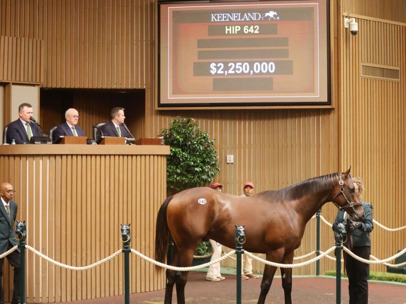 A Nyquist colt topped the session at US$2.25 million (AU$3.15 million),