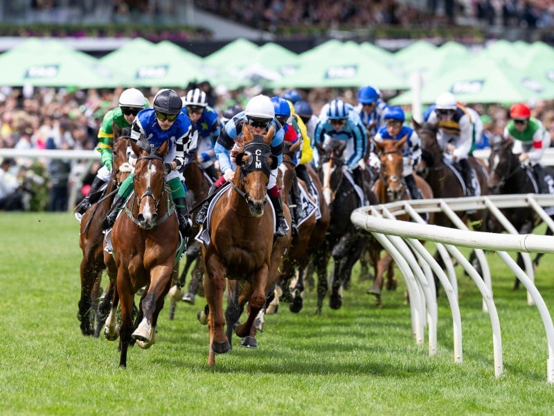 2025 Melbourne Cup Day, Flemington Racecourse