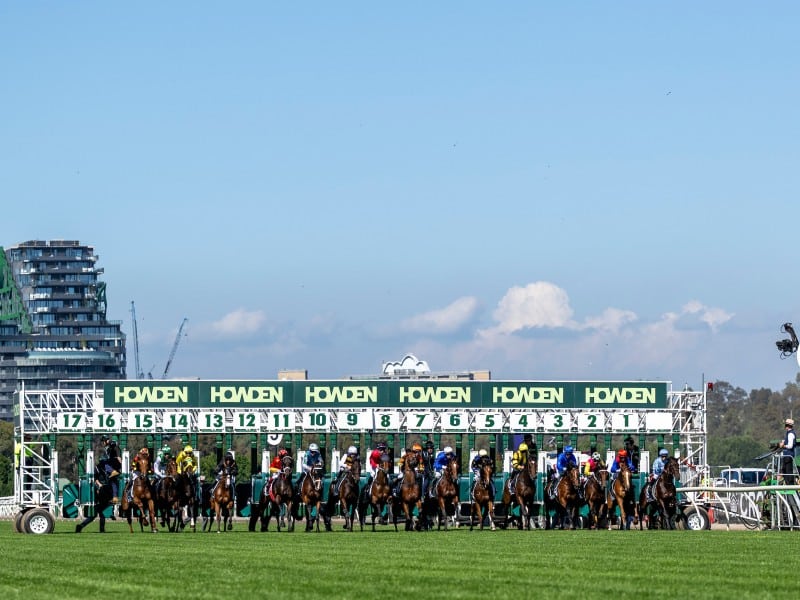 Victoria Derby