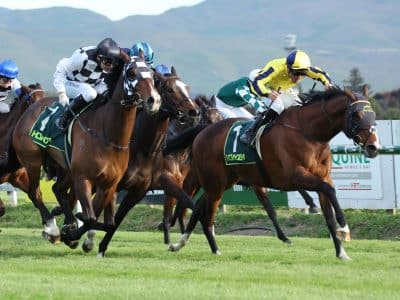 Waitak edges ahead of Tuxedo as the field races for the Howden Insurance Mile title.