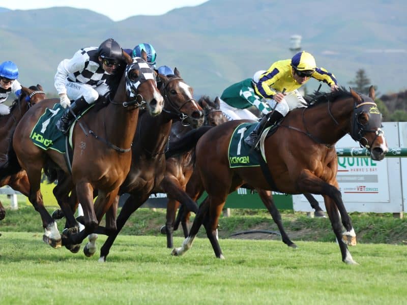 Waitak edges ahead of Tuxedo as the field races for the Howden Insurance Mile title.