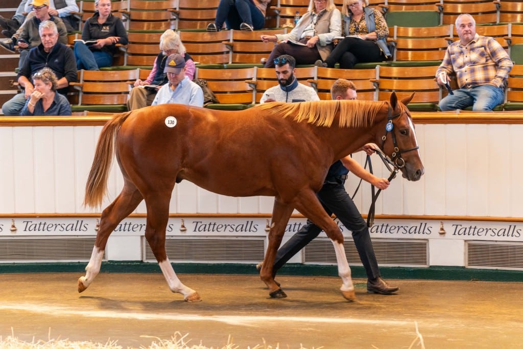 Tattersalls Lot 130