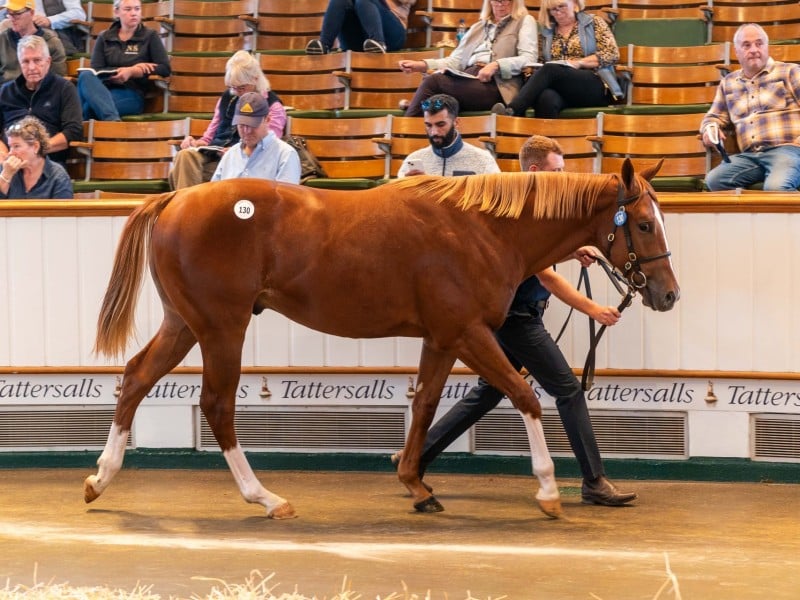 Tattersalls Lot 130