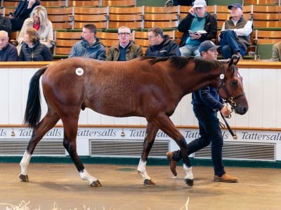 Lot 409