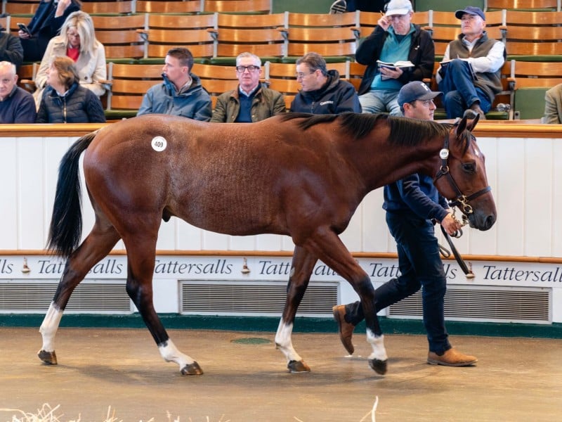 Lot 409