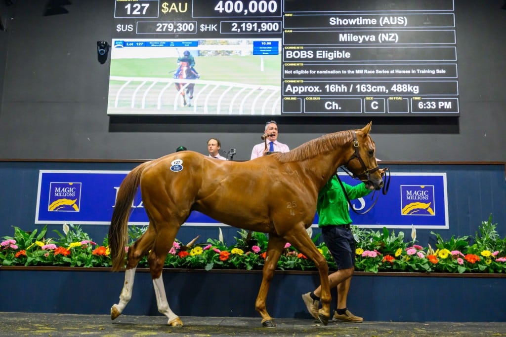 Lot 127 Showtime — Mileyva_DSC_1706.NEF