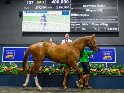 Lot 127 Showtime — Mileyva_DSC_1706.NEF
