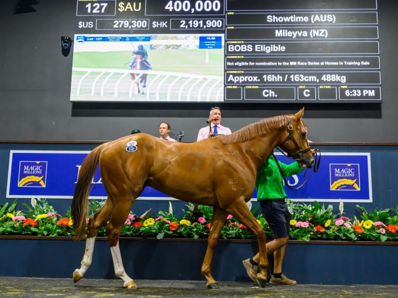 Lot 127 Showtime — Mileyva_DSC_1706.NEF