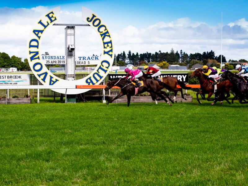 Avondale Jockey Club