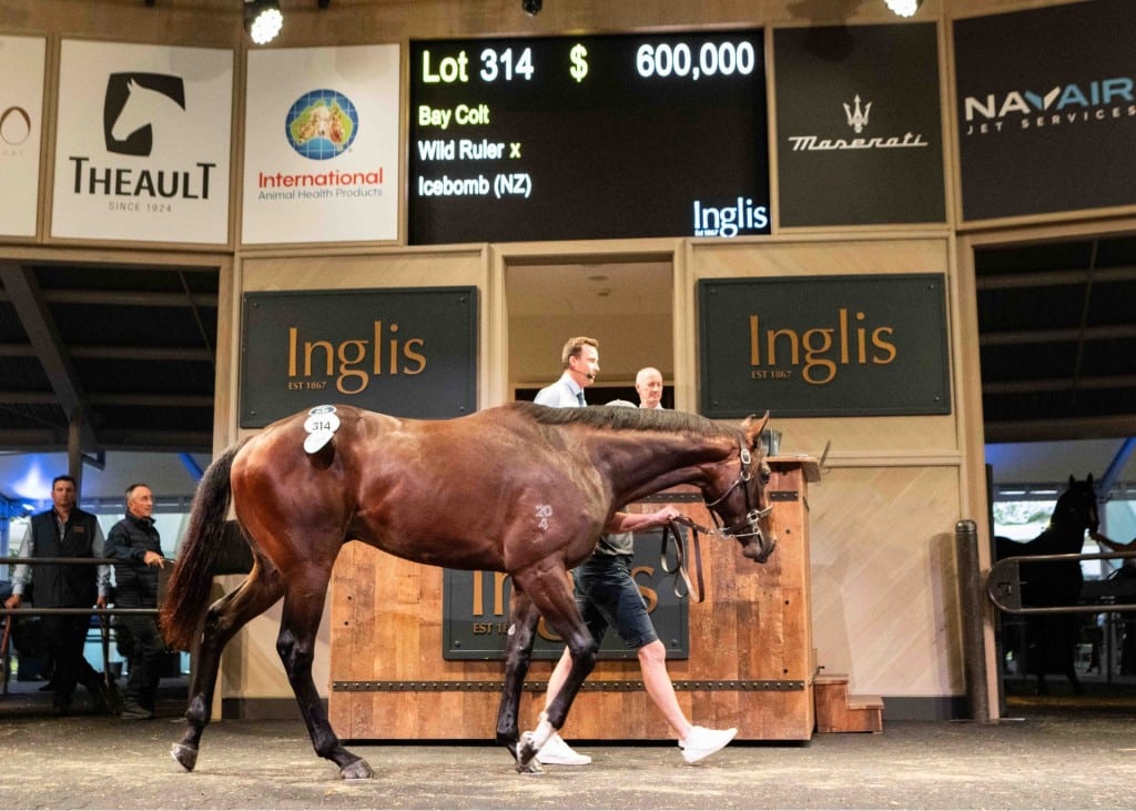 Lot 314 - Wild Ruler