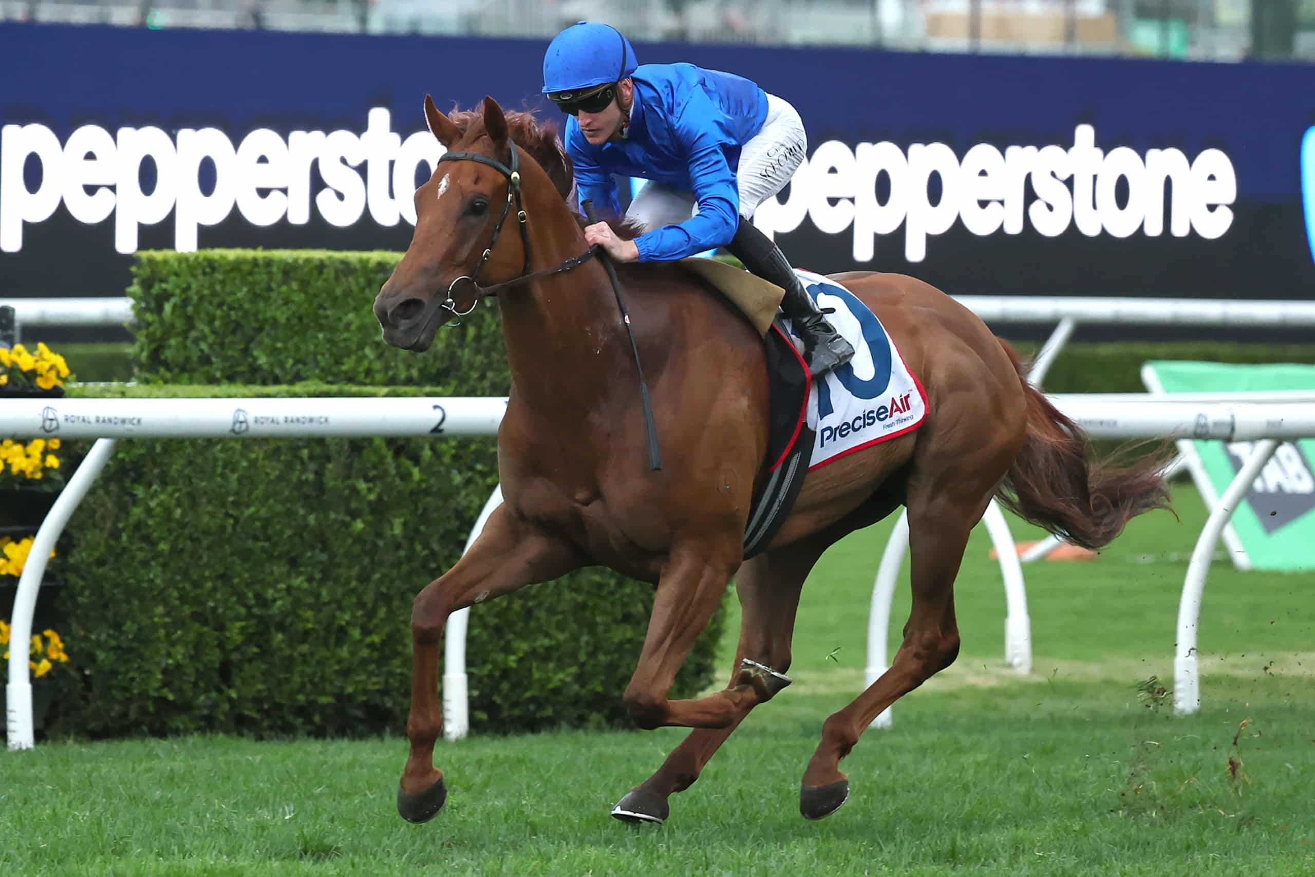 Tempted upsets Ka Ying Rising in Everest – The Straight