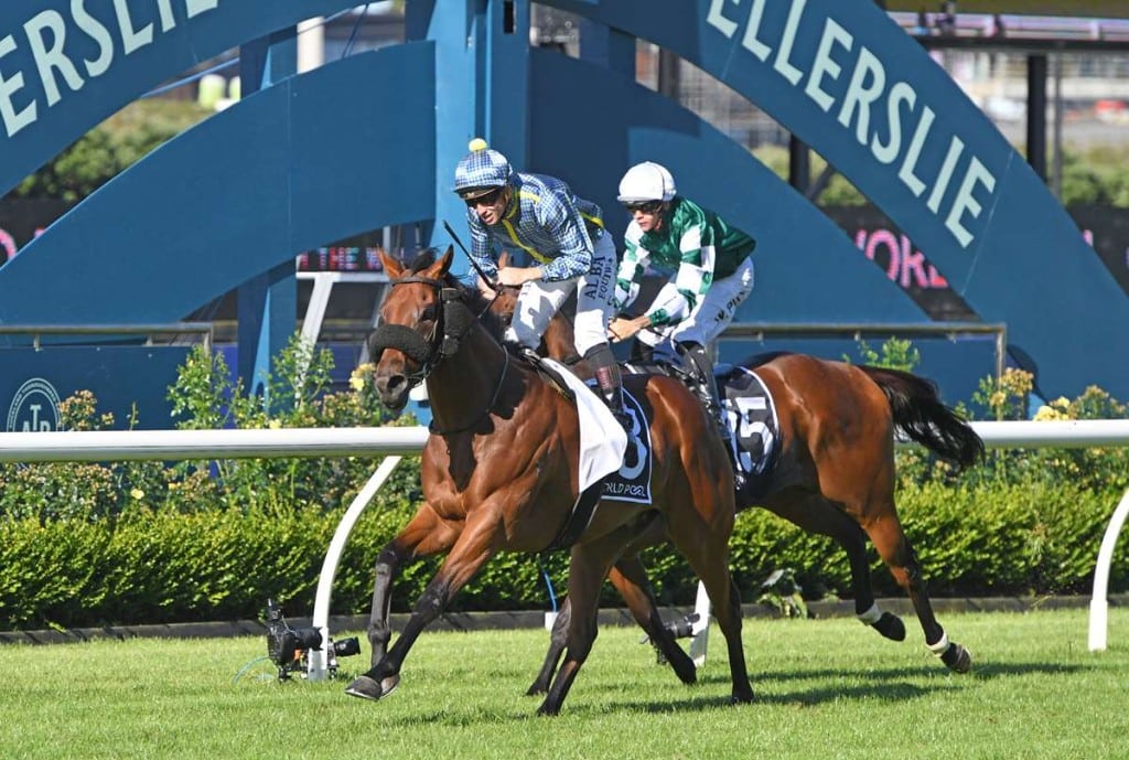 New Zealand Derby