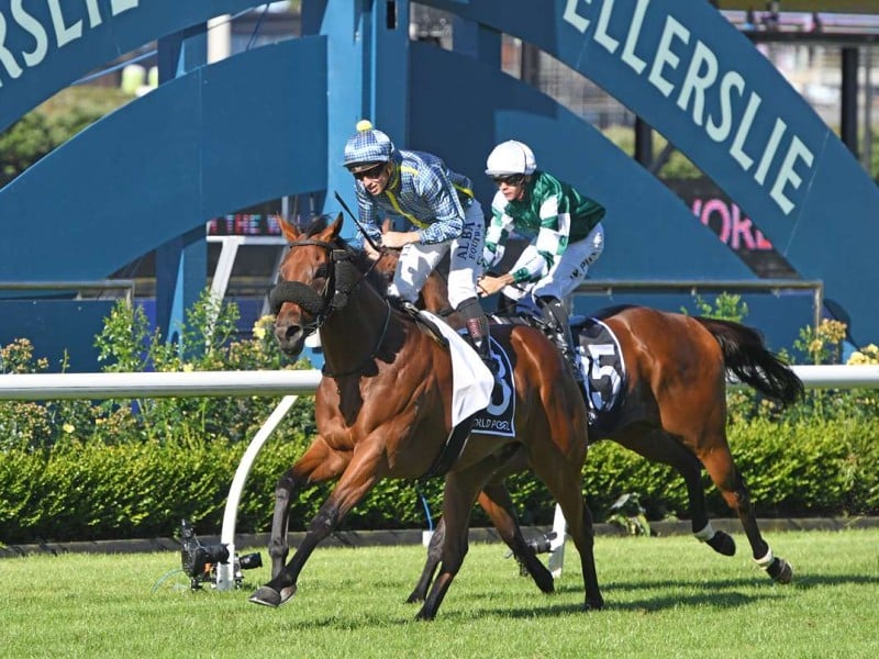 New Zealand Derby
